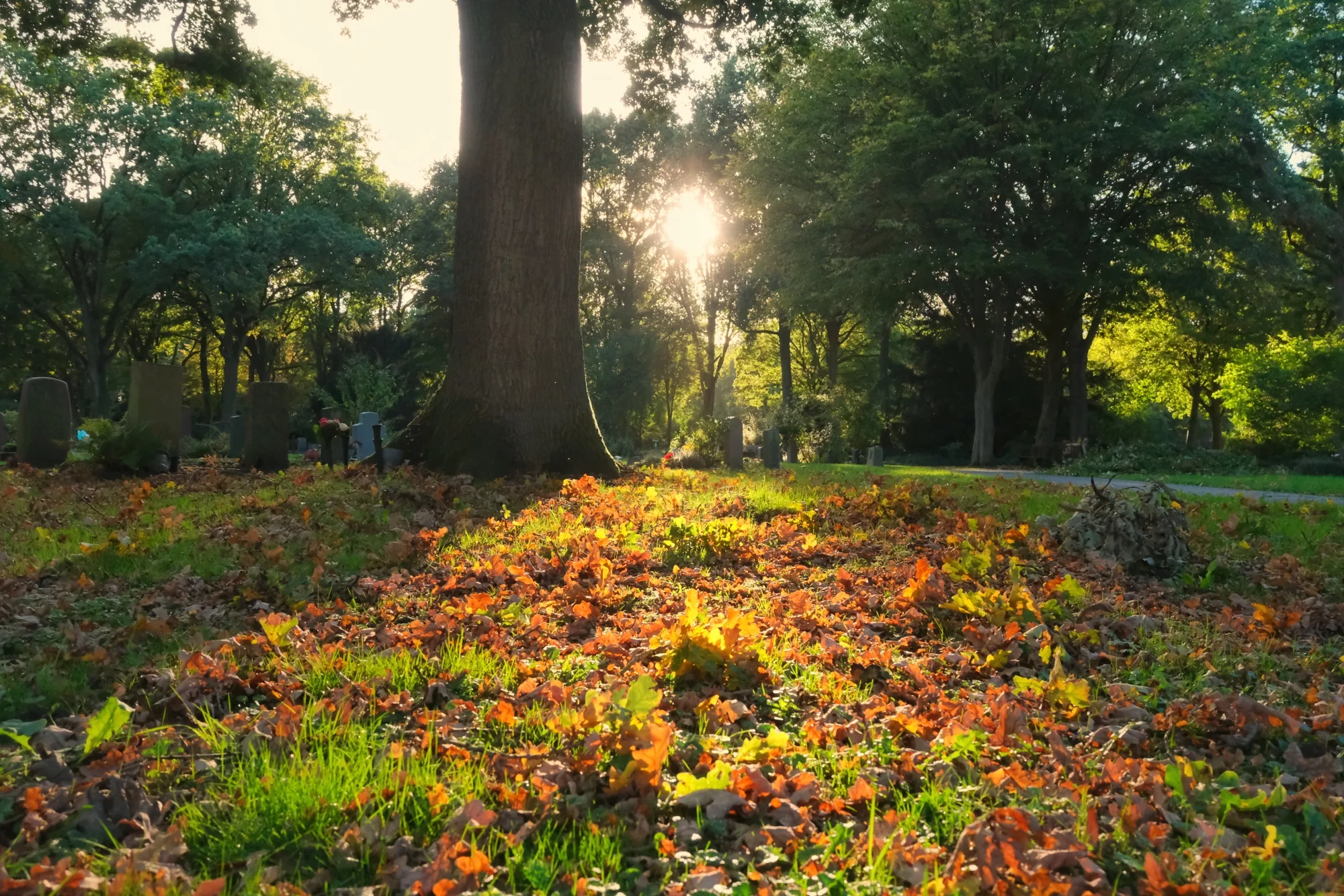 Reudiger: Es werde Herbst!