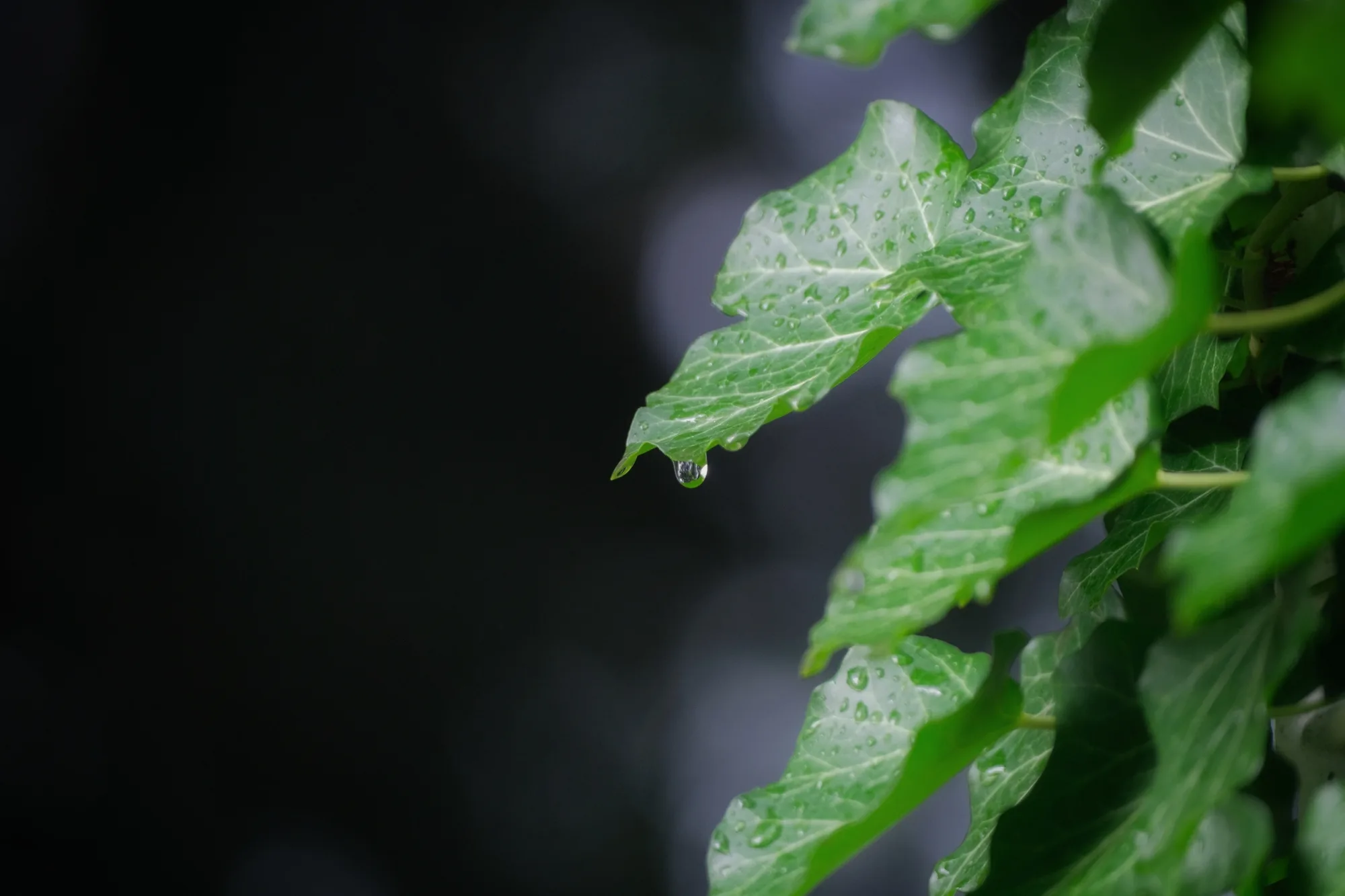 Reudiger: After the sun, there is the rain