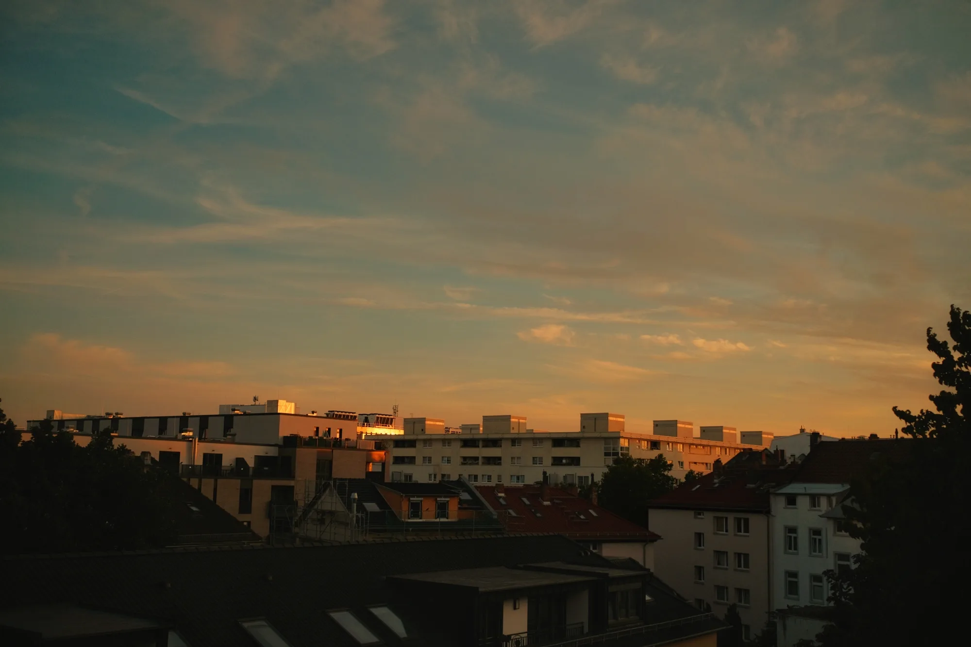 Reudiger: Home, sweet home