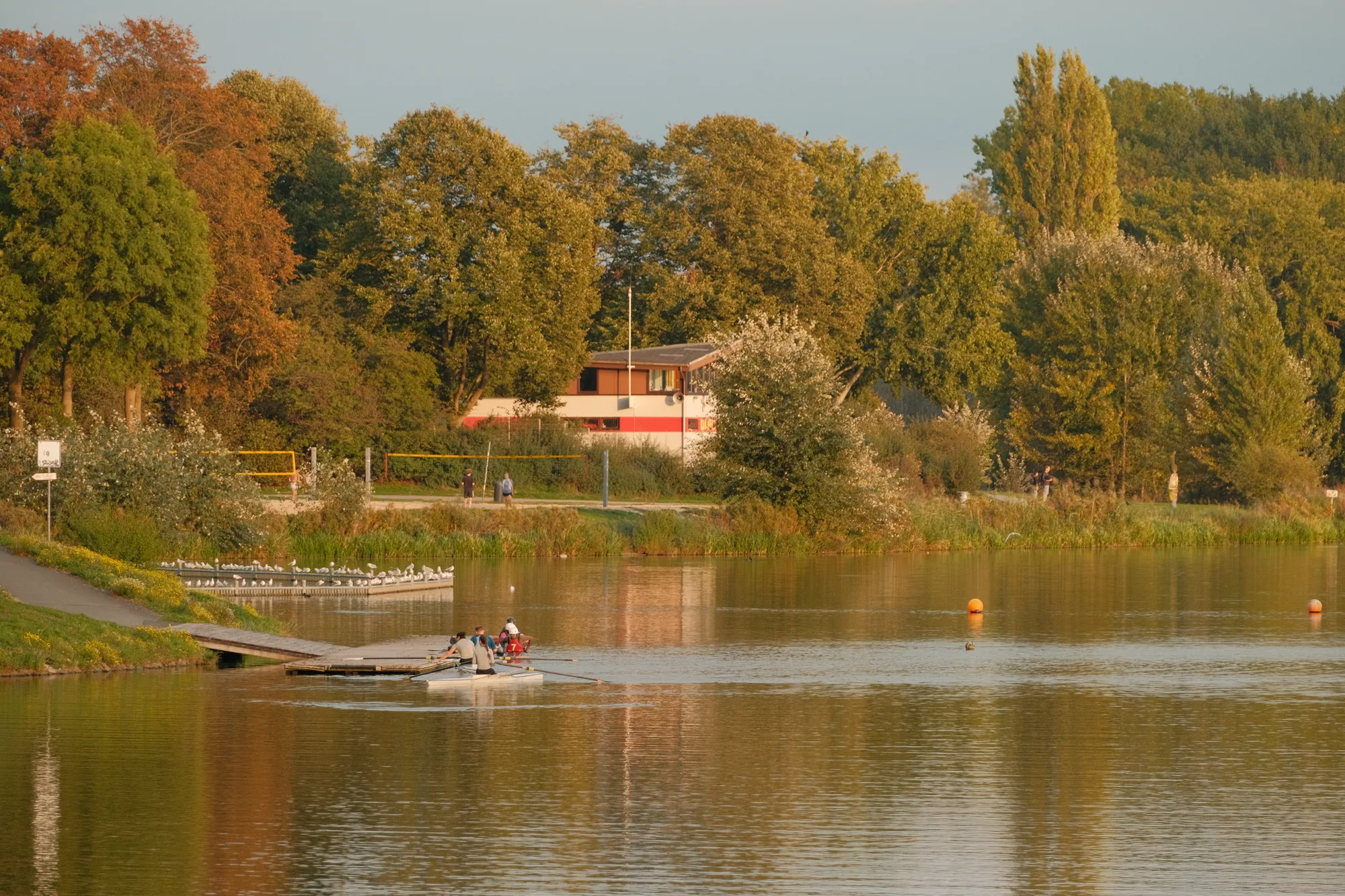 Bild von Reudiger