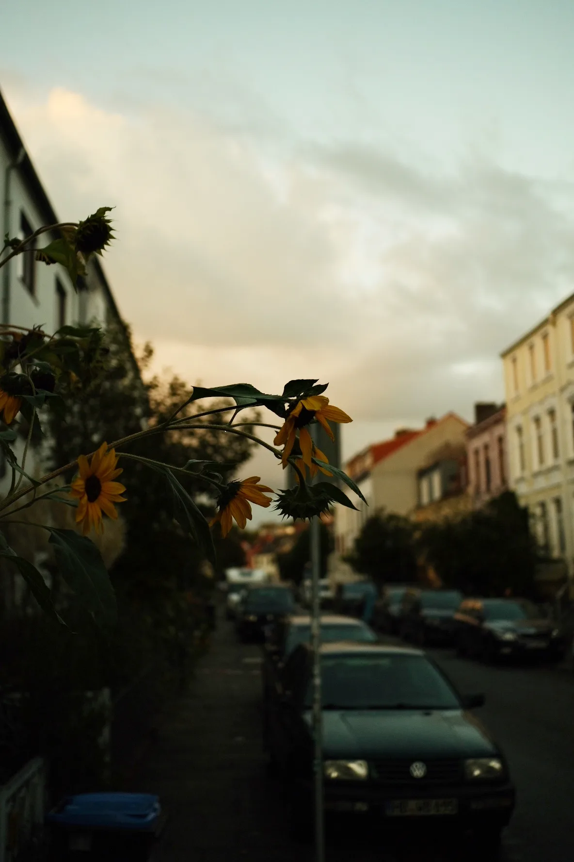 Reudiger: Steht dir das Wasser bis zum Hals, lass den Kopf nicht hängen 🌻