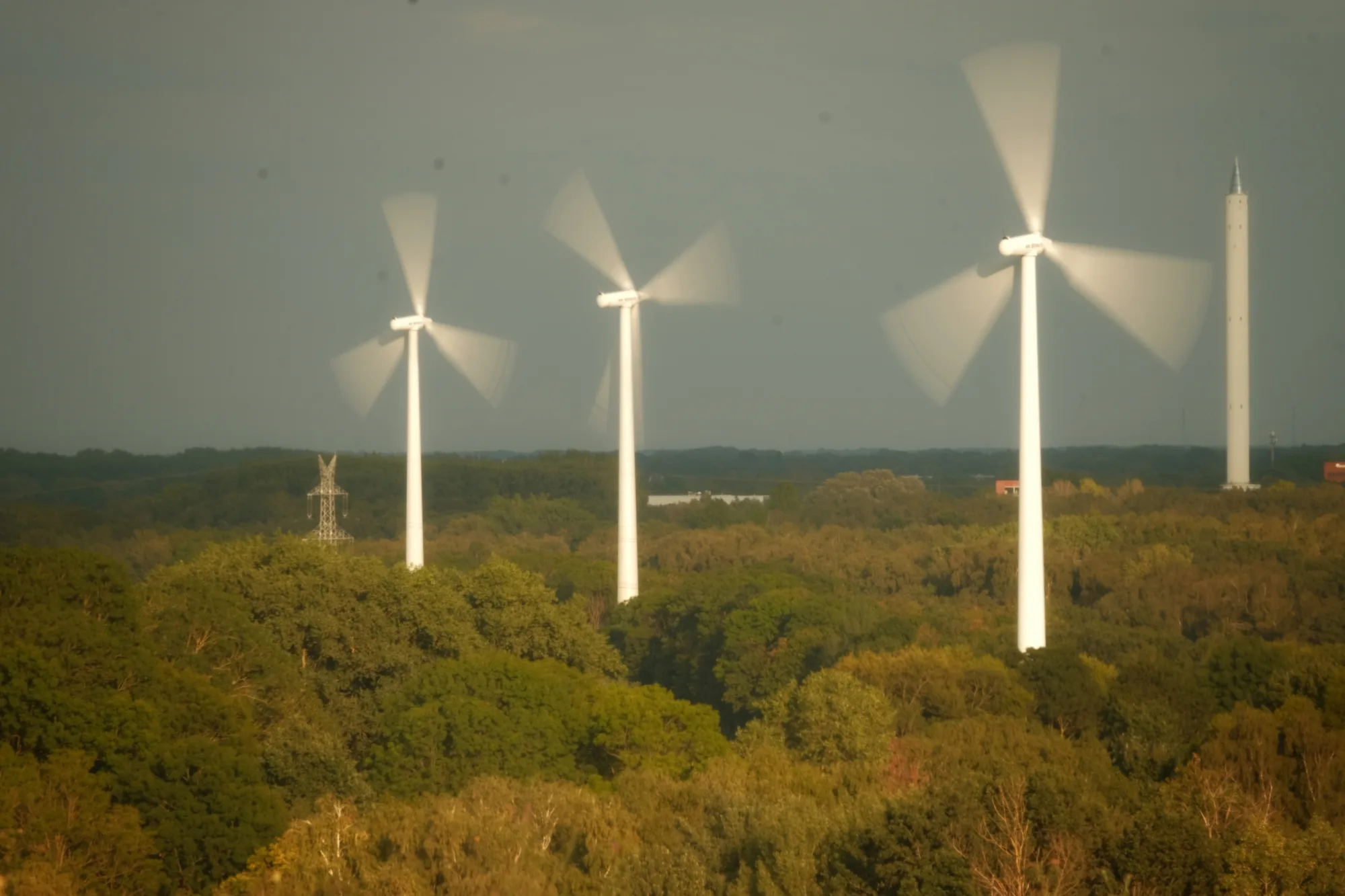 Reudiger: Wenn man eins im Norden genug hat, dann Wind