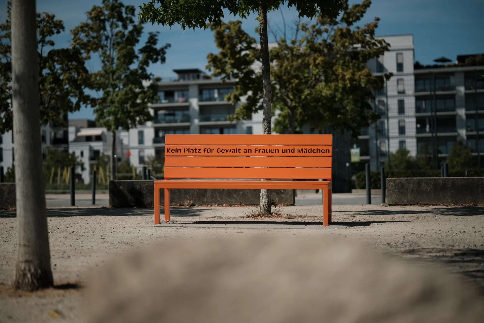 Bild von Reudiger