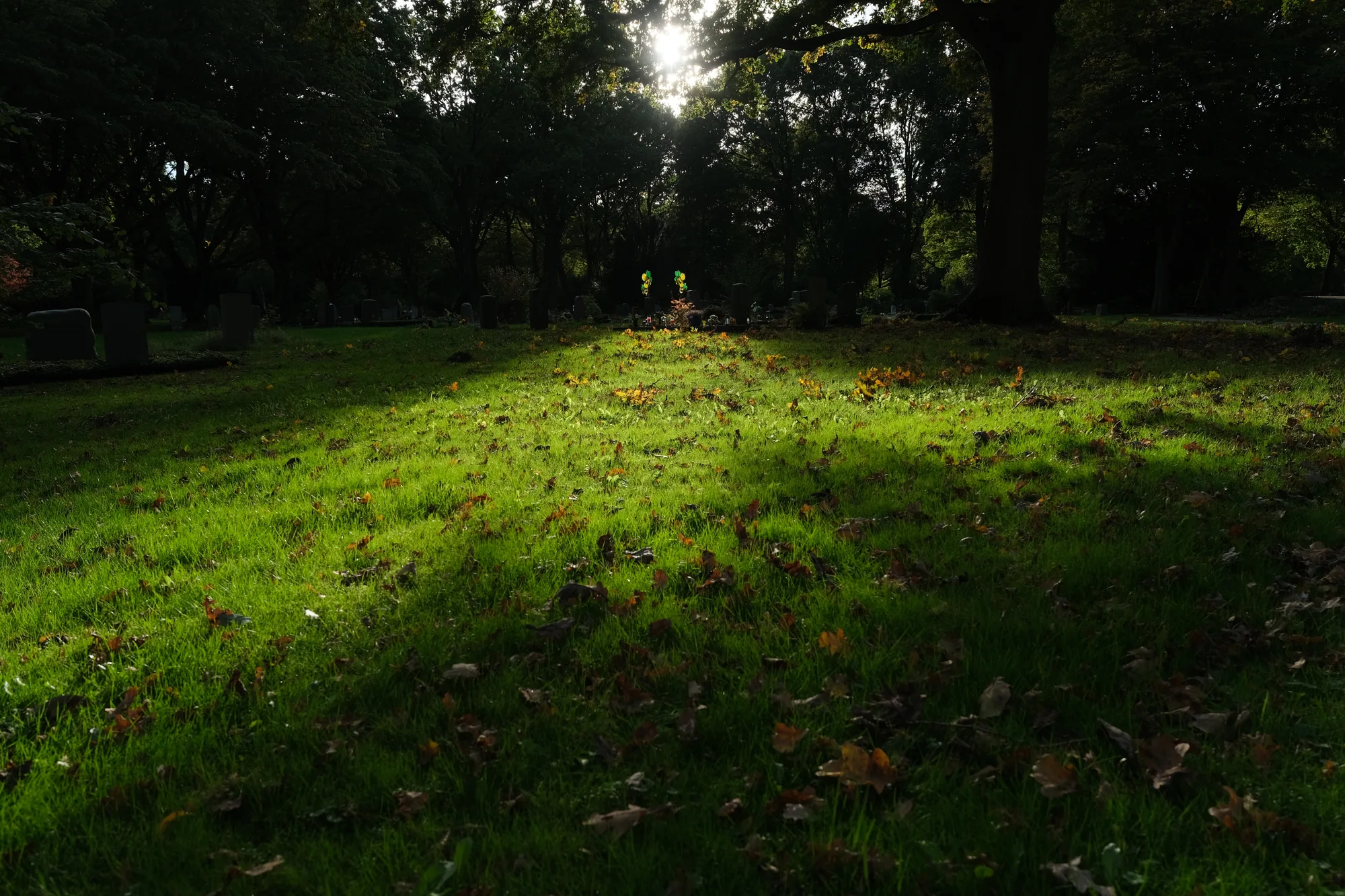 Reudiger: Herbststimmung auch auf dem Friedhof