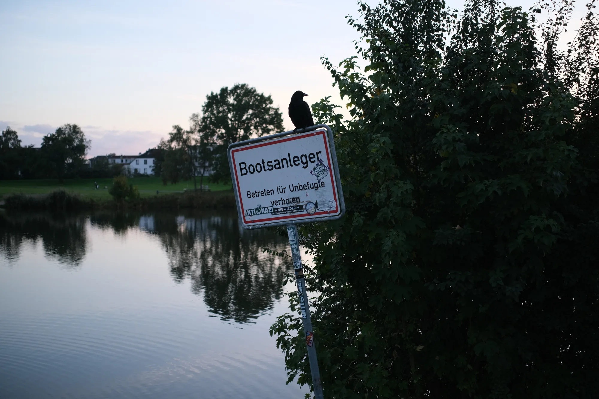 Reudiger: Wächter des Bootsanlegers