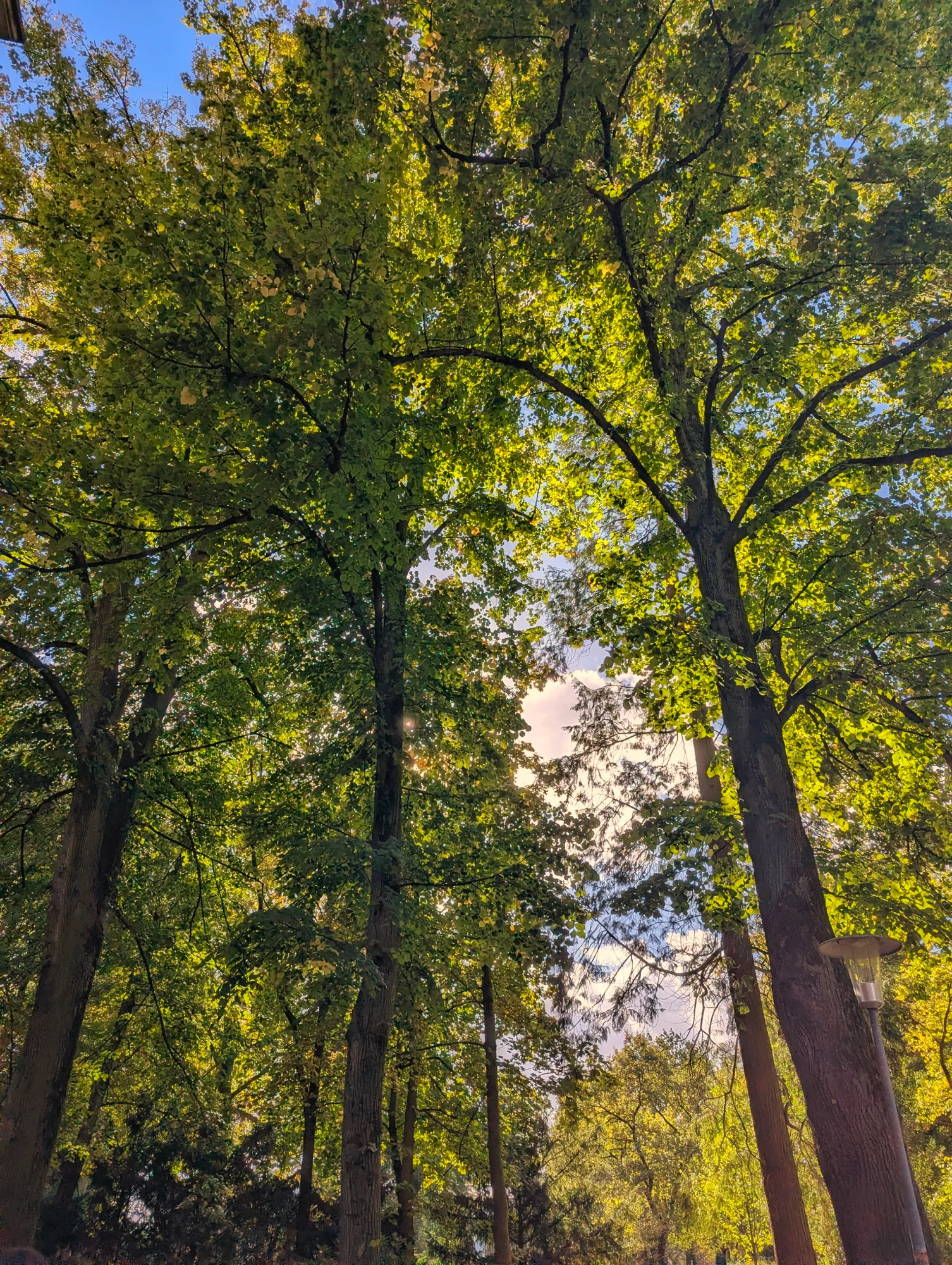 Bild von Reudiger