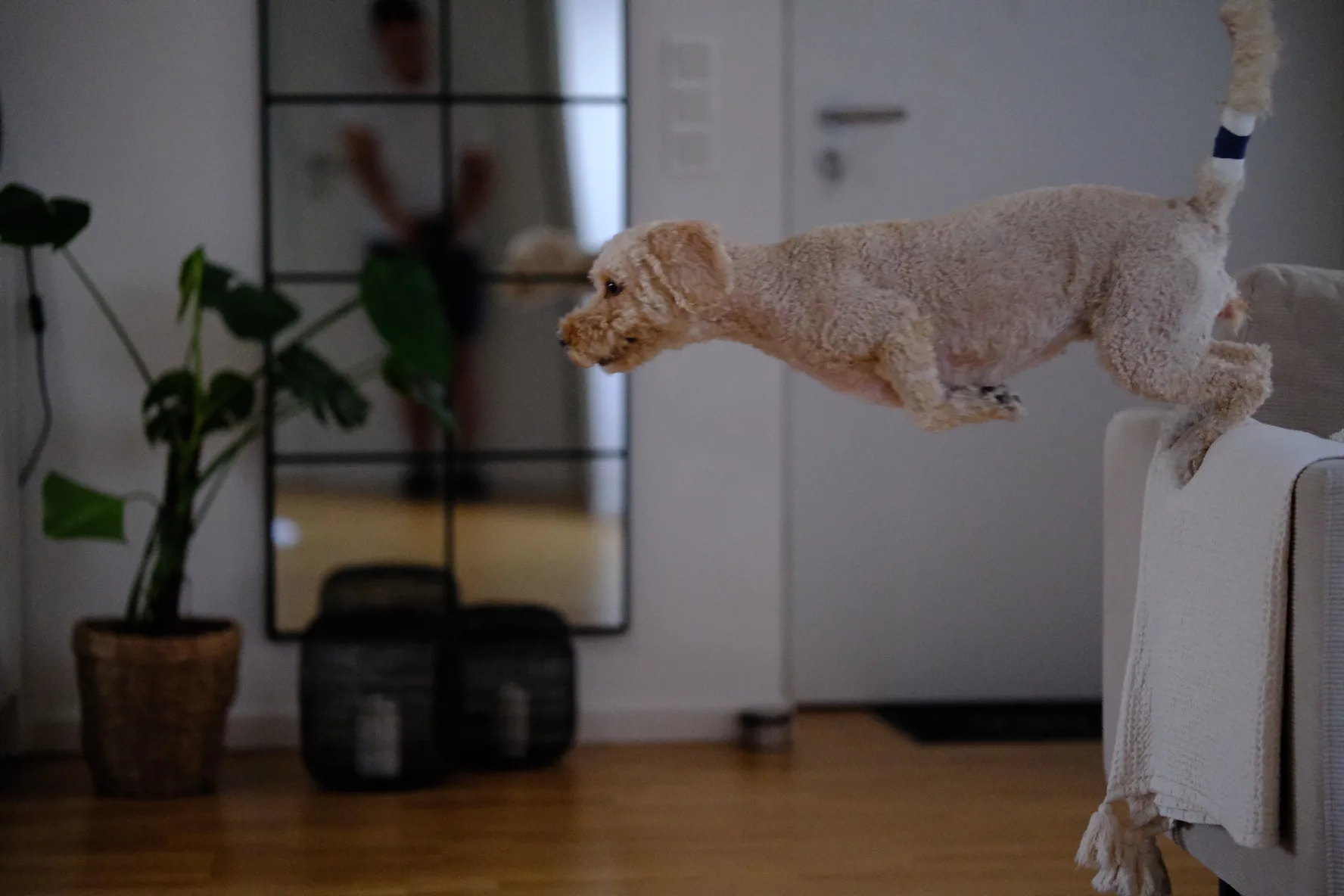 Reudiger: Hot dog in the air tonight!